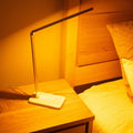 BioLight™ - Full Spectrum Lamp 5